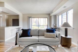 Pentagon City 2br w wd gym nr Metro WDC-602 - Arlington - 9