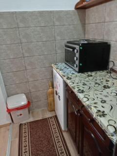 Smestaj Stevanovic - Ribarska Banja - 4