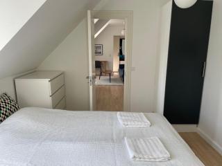 Cozy Apartment with Prime Location in Østerbro - Copenaghen - 1