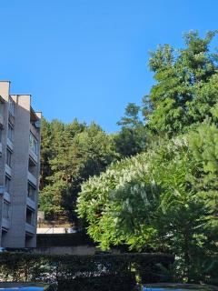 Kaunas Lampedziai lakeside - 8