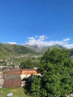 Guest house LEGIANA Kazbegi - Kazbegi - 6