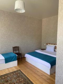 Guest house LEGIANA Kazbegi - Kazbegi - 9