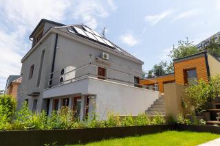 VOUSATÁ Dáma - 5