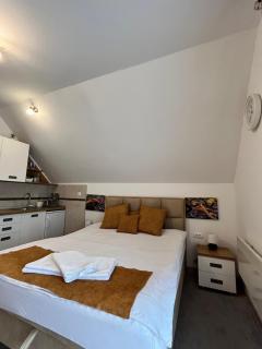 Apartman Pavle - Nova Varoš - 8