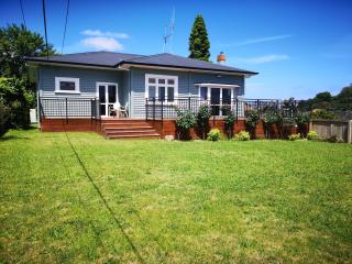 Renovated Character with Spa - Te Awamutu - 0