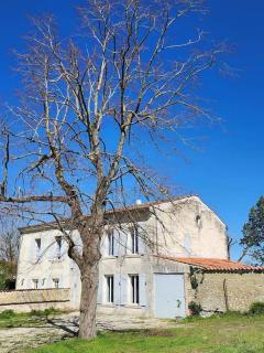 La Villa Ausone - Saint-Jean-dʼAngély - 2