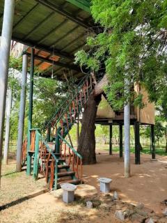 Yala Eco Tree House New - Tissamaharama - 4
