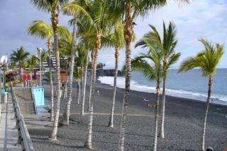 Vivienda Apartamento Gallo Playa Puerto Naos - Puerto Naos - 5
