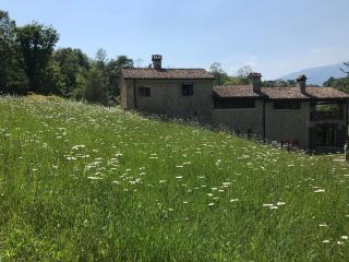 The Music Country House con Jacuzzi nel parco - Natura e relax - 8