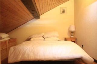 Biches BIB31 MOUNTAIN & QUIET 4 Pers - Châtel - 6