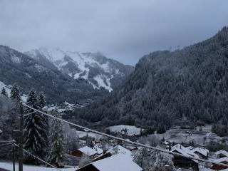 Biches BIB31 MOUNTAIN & QUIET 4 Pers - Châtel - 1