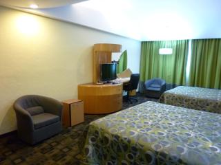 Hotel Mandarin Carton - Mexico City - 7