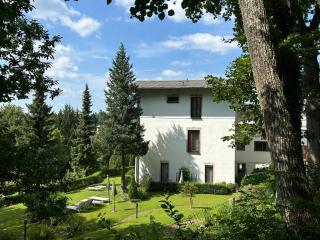 Das WALDFRIEDE Appartement - Bad Tatzmannsdorf - 7