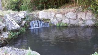 Casale per 12 persone, Pievevecchia, Santa Fiora - Santa Fiora - 7