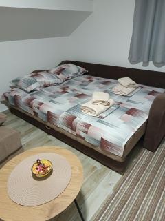 Apartman SJAJ - Soko Banja - 8