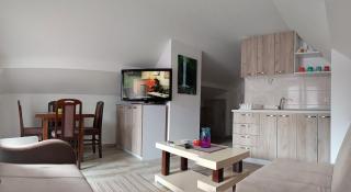 Apartman SJAJ - Soko Banja - 4