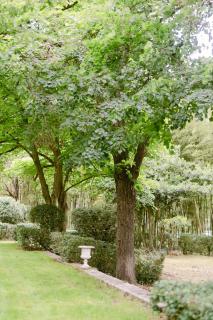 Château La Bruguière - Tornac - 8