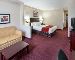 Comfort Suites Parkersburg South - Mineralwells - 2