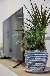 BLOOM Apartments in Central Tirana - Tirana - 1