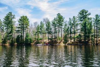 3 Bedroom Point Cottage On Muskoka Shores - 6