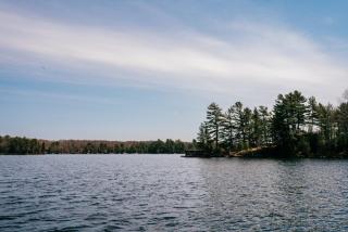 3 Bedroom Point Cottage On Muskoka Shores - Seguin - 5