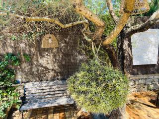 Villa Exotica et belle cabane en bois idéal famille - Roquefort-les-Pins - 2