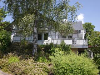 Edelweiss Appartements 'ETTELSBERG' deluxe inkl Wellness-Spa und MeineCardPlus - Willingen - 8