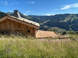 Chalet Morzine - Morzine - 0