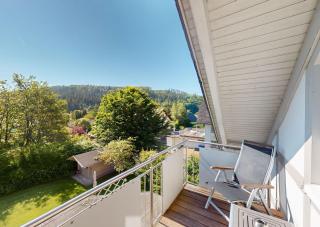 Edelweiss Appartements 'ETTELSBERG' deluxe inkl Wellness-Spa und MeineCardPlus - Willingen - 2