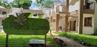 Discounted - Puravida Escape And Rooftop Terrace - Coco - 9