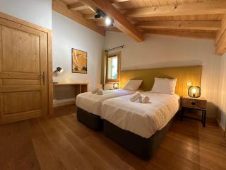 Chalet traditionnel vue montagne - 12 pers. - FR-1-624-93 - 1