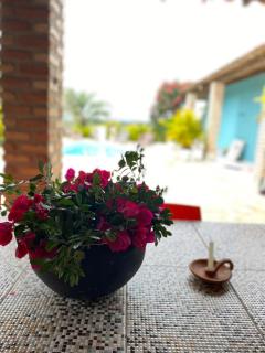 Rancho da graça - 1