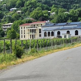 Gonadze Vineyards Hotel - Ambrolauri - 7