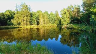 Modletice Apartmán u řeky Thaya Česká Kanada - 7