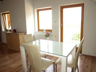 Apartment VISOTA - Ptuj - 9