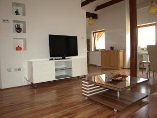Apartment VISOTA - Ptuj - 8