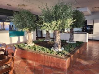 Bellavista Suite Spa - 2