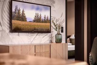 Villa EDELWEISS de luxe inkl Wellness-Spa und MeineCardPLus - Willingen - 4