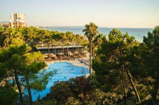 Kote's Home Beachfront Apartment 21 - 5