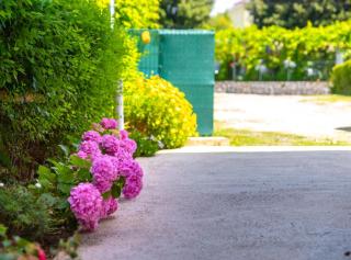 Apartmani Sabbioso - Lopar - 3