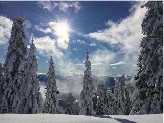 Chalet Almhaus Strobl - 4