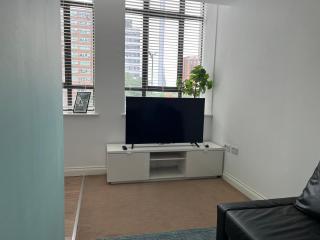 Central Birmingham Modern Apt - Birmingham - 5