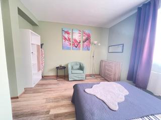 Fanta flat France Suisse - Saint-Louis - 8