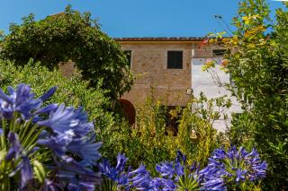 Villa Lloquet By homevillas360 - Pollença - 1