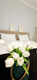 Central Apartment - Tirana - 7