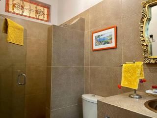 Spacious Centro Gem, Garage Jacuzzi, Near Rosewood - San Miguel de Allende - 1