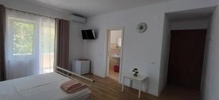 VILA COSMIN - 3