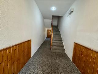 B56 - Alimoche - Villmor - 6