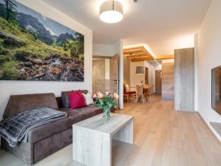Apart33 Top 2-9 - Haus im Ennstal - 0