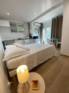 Studio coco 2 personnes - Le Lamentin - 6